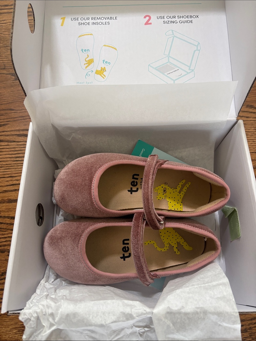 Ten Little Dusty Rose Velvet Mary Jane Kids Shoes